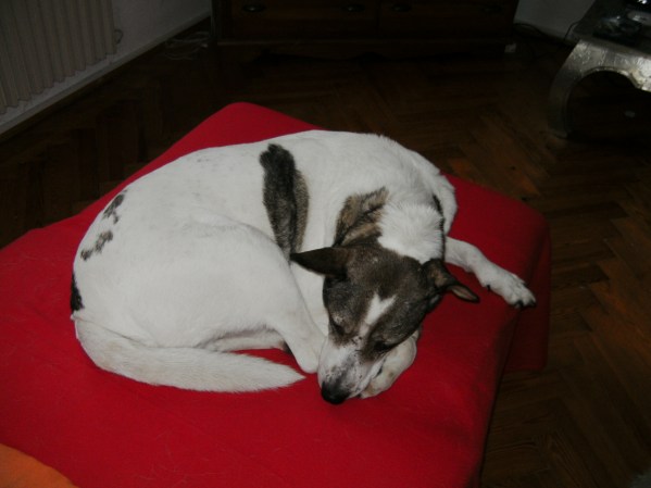 med_Nur kein Stress.jpg (599 x 449)